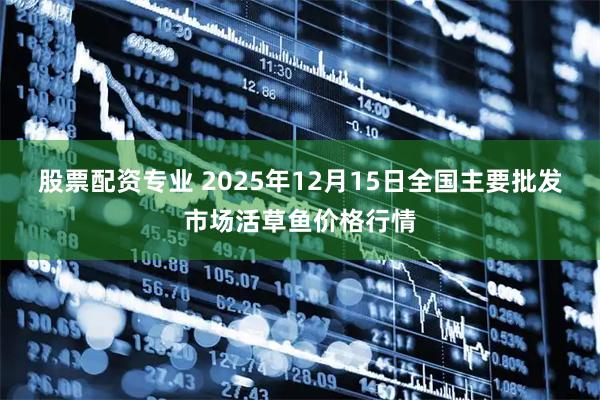 股票配资专业 2025年12月15日全国主要批发市场活草鱼价格行情
