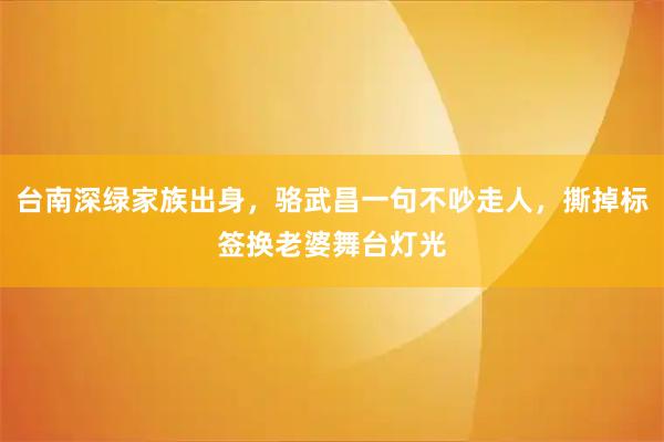 台南深绿家族出身，骆武昌一句不吵走人，撕掉标签换老婆舞台灯光