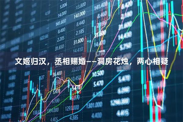 文姬归汉，丞相赐婚——洞房花烛，两心相疑
