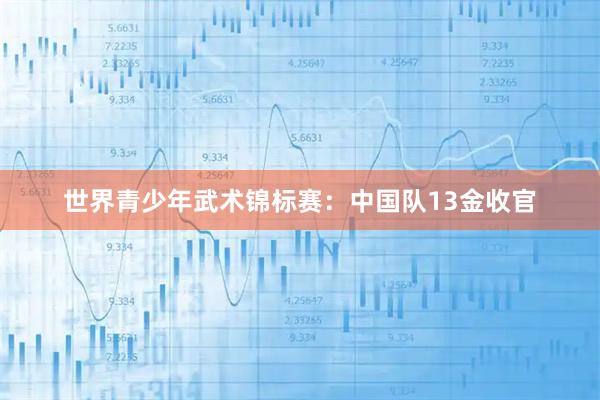 世界青少年武术锦标赛：中国队13金收官